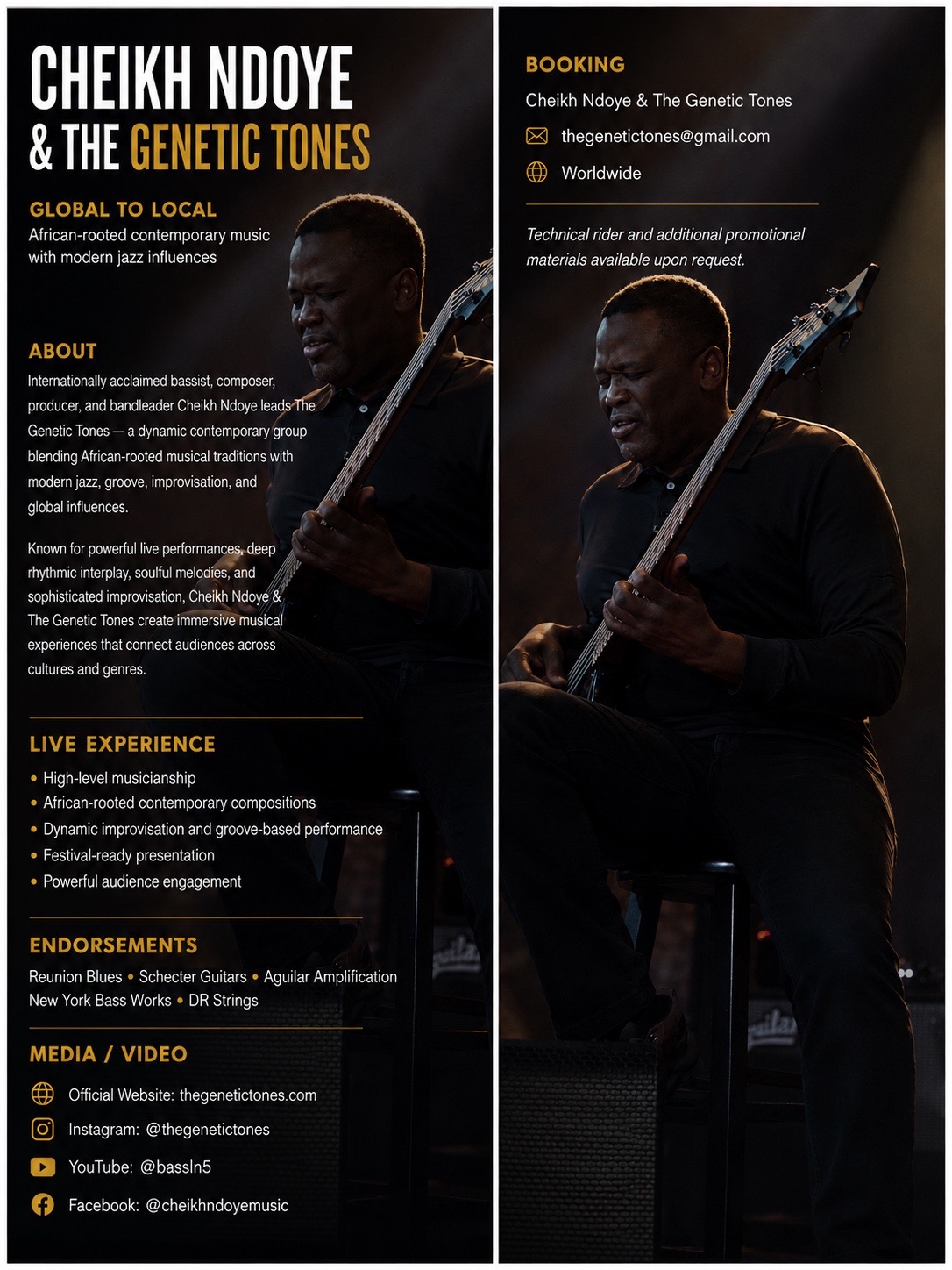 Cheikh Ndoye & The Genetic Tones Press Kit Preview